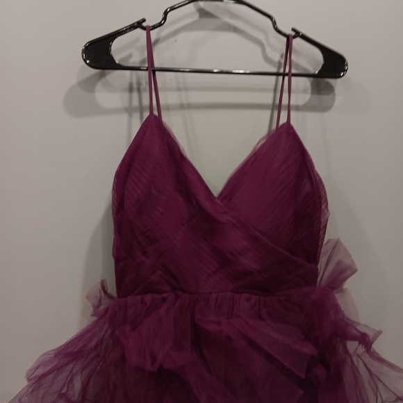 Windsor Hadley V-Neck Ruffled A-Line Tulle Formal Dress - Picture 3 of 11